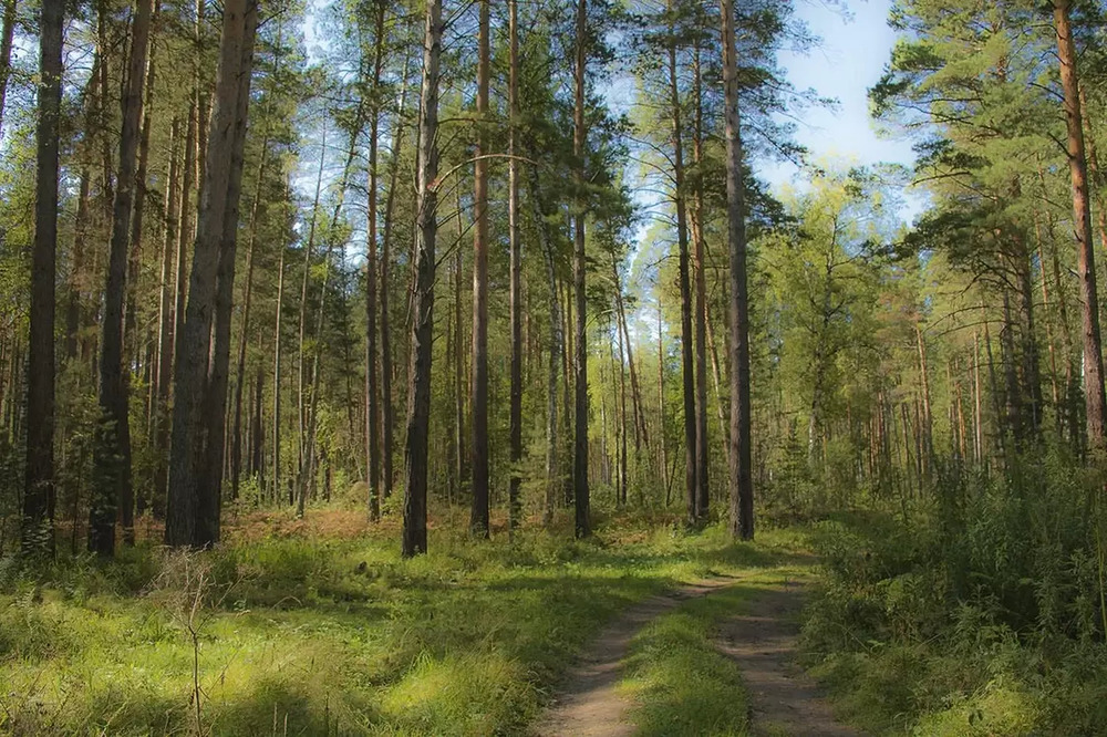 Относительно пользы Относительно пользы